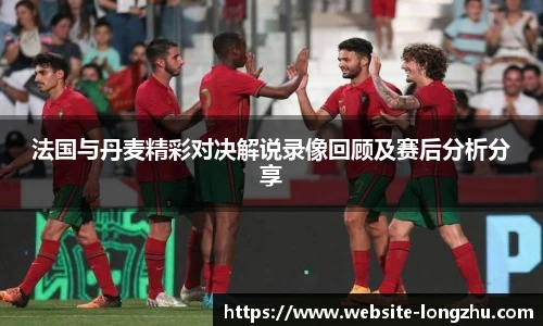 法国与丹麦精彩对决解说录像回顾及赛后分析分享