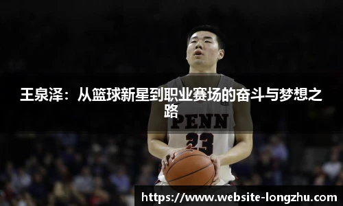 龙珠体育直播