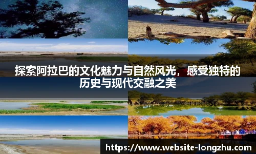 龙珠高清直播