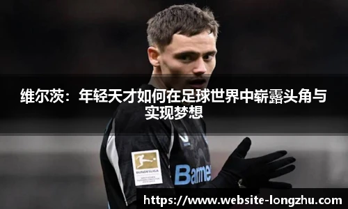 龙珠体育直播