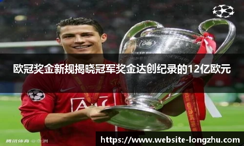 龙珠体育直播
