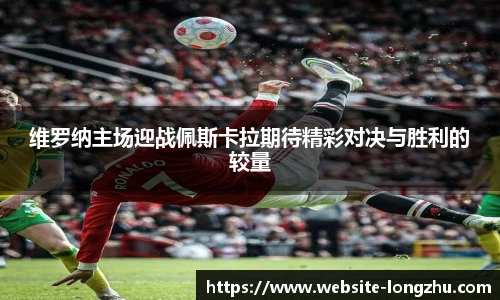 龙珠体育直播