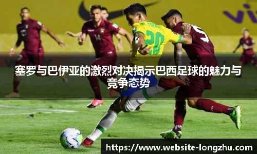 龙珠体育